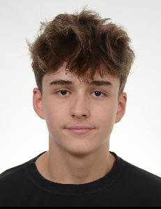 LIS KRASNIQI