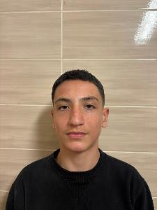 LEON  SINANI